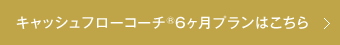 → キャッシュフローコーチ®6ヶ月プランはこちら