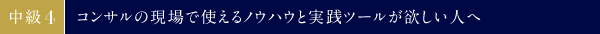 中級④　コンサルの現場で使えるノウハウと実践ツールが欲しい人へ