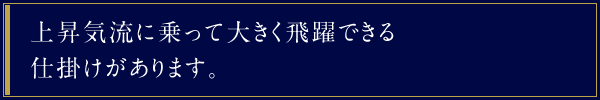 上昇気流に乗って大きく飛躍できる仕掛けがあります。