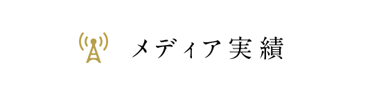 メディア実績